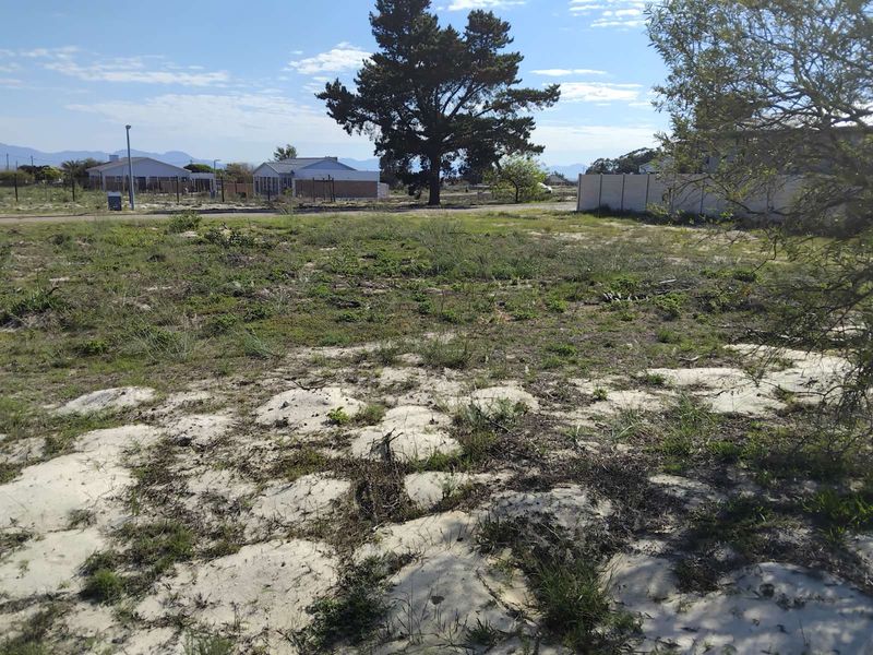 Vacant Land Residential For Sale in Albertinia Central - Photo 5