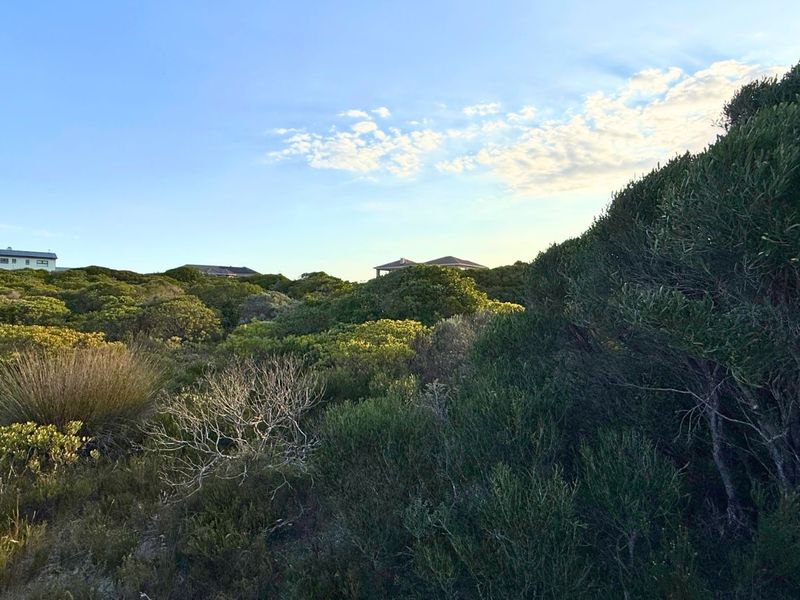 Vacant Land Residential For Sale in Klipfonteyn - Photo 6