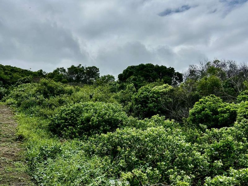 Vacant Land Residential For Sale in Seaview - Photo 6