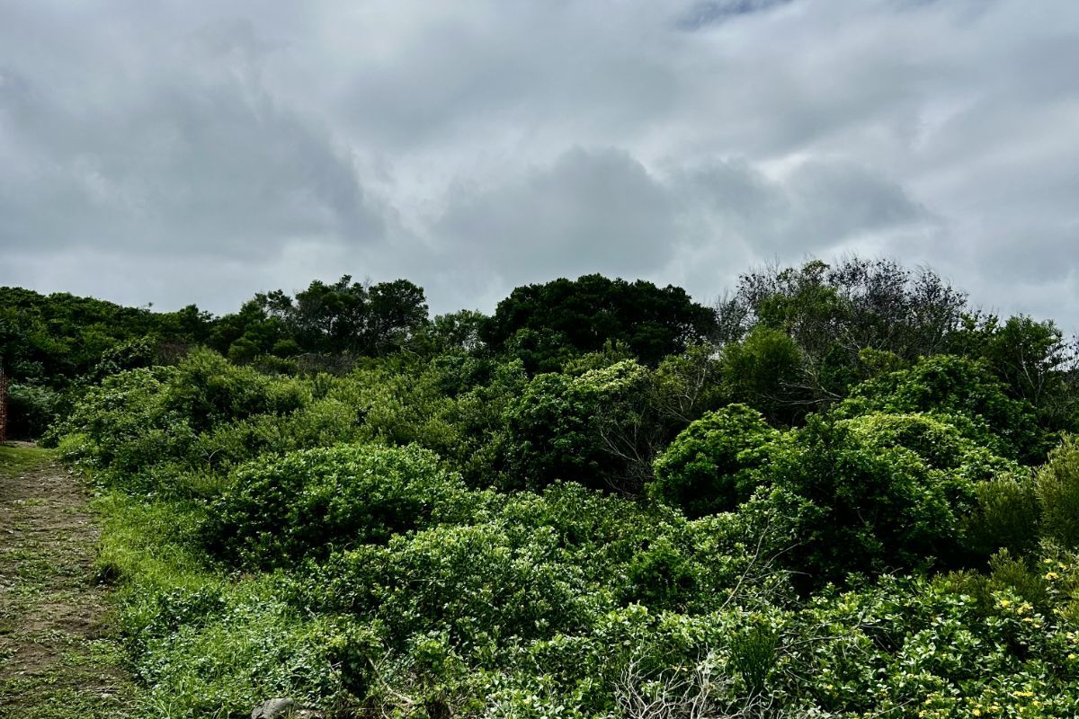 Vacant Land Residential For Sale in Seaview - Photo 2