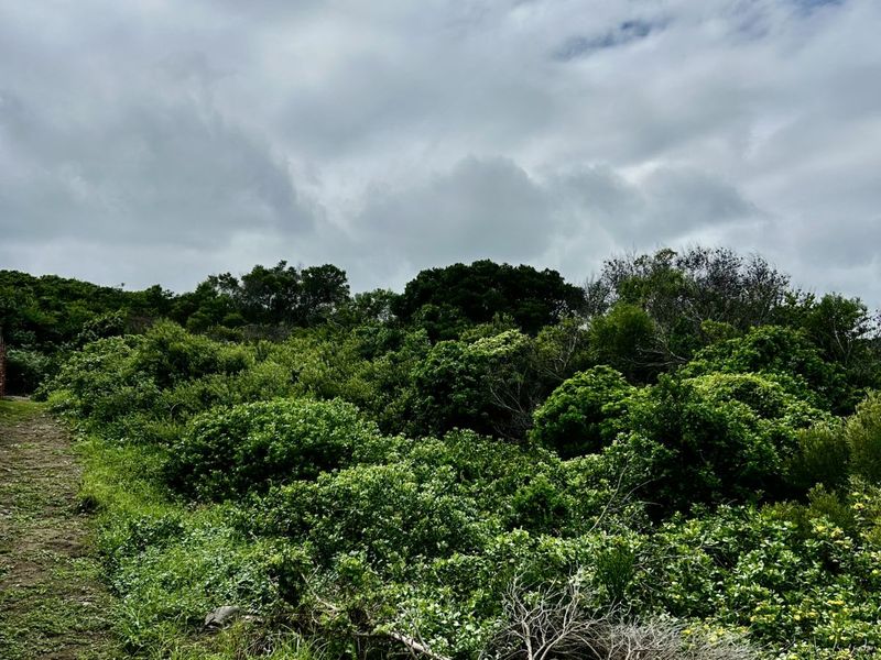 Vacant Land Residential For Sale in Seaview - Photo 5