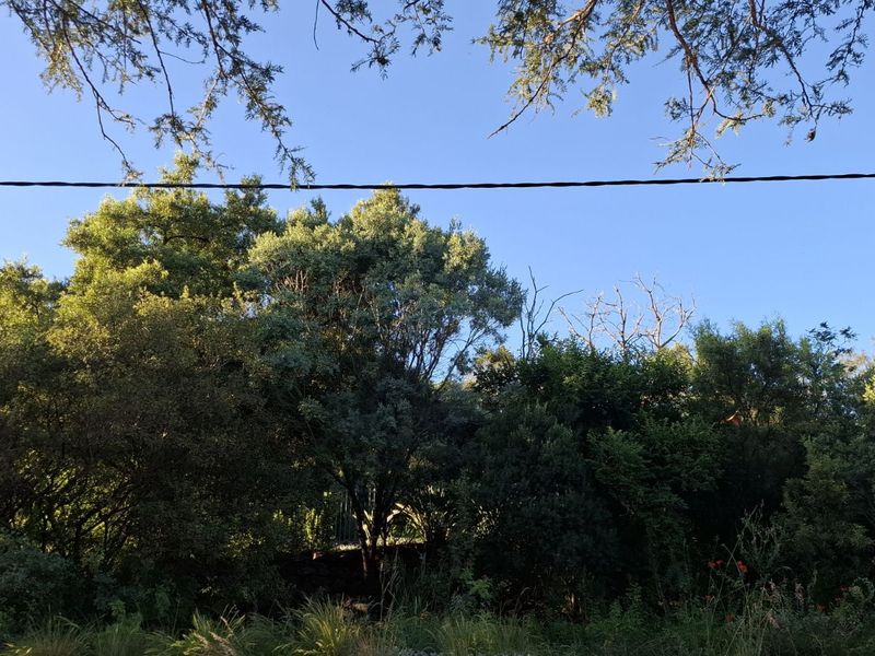 Vacant Land Residential For Sale in Mooikloof Equestrian Estate - Photo 7