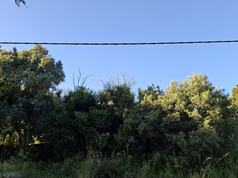 Vacant Land Residential For Sale in Mooikloof Equestrian Estate - Photo 6