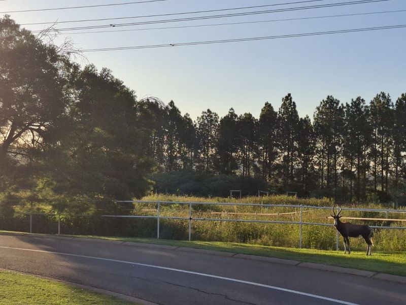 Vacant Land Residential For Sale in Mooikloof Equestrian Estate - Photo 10