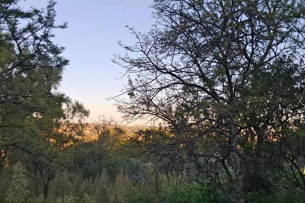 Vacant Land Residential For Sale in Mooikloof Equestrian Estate - Photo 3