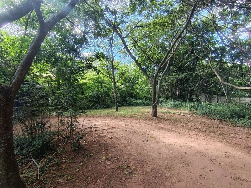 House For Sale in Forest Hills - Photo 3