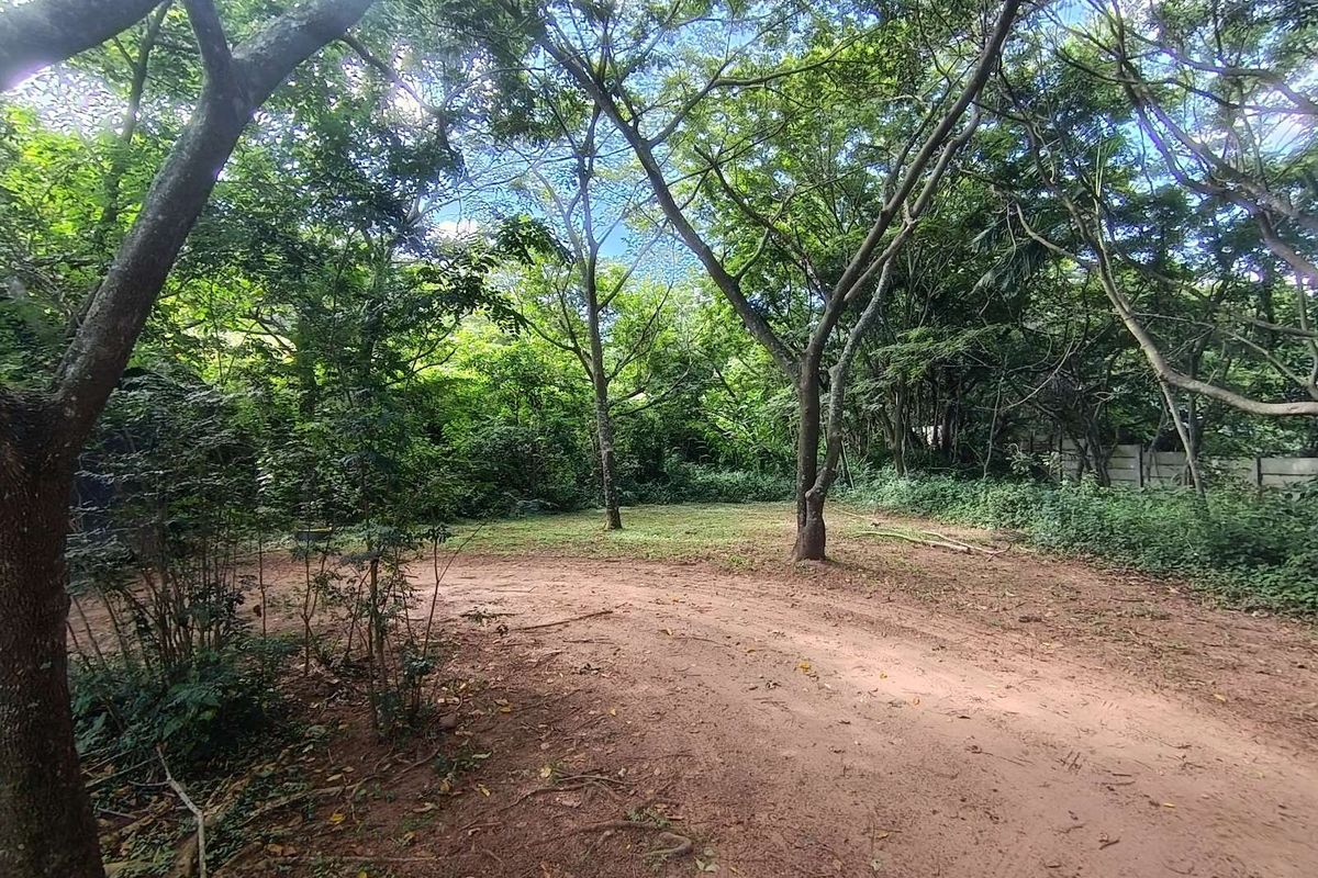 House For Sale in Forest Hills - Photo 3