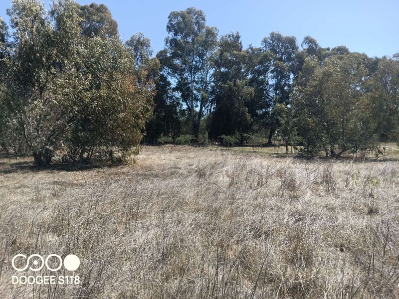 Vacant Land Residential For Sale in Kalbaskraal - Photo 5