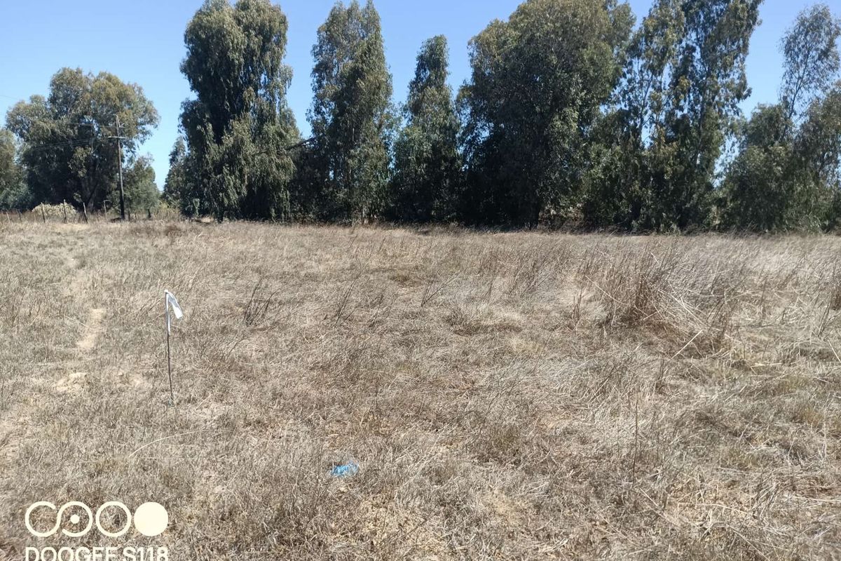 Vacant Land Residential For Sale in Kalbaskraal - Photo 4