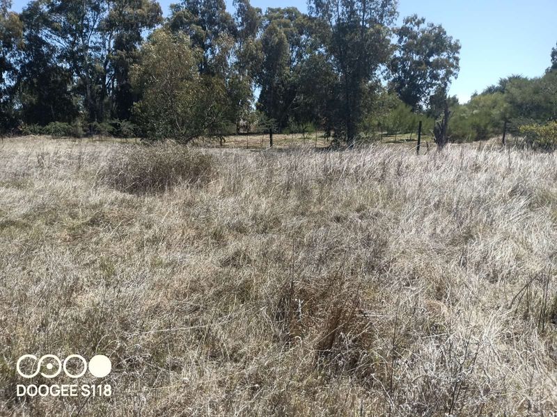 Vacant Land Residential For Sale in Kalbaskraal - Photo 6