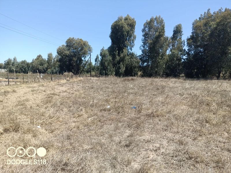 Vacant Land Residential For Sale in Kalbaskraal - Photo 6