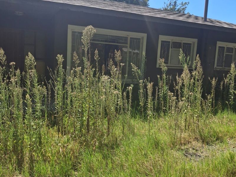 House For Sale in Songloed - Photo 5