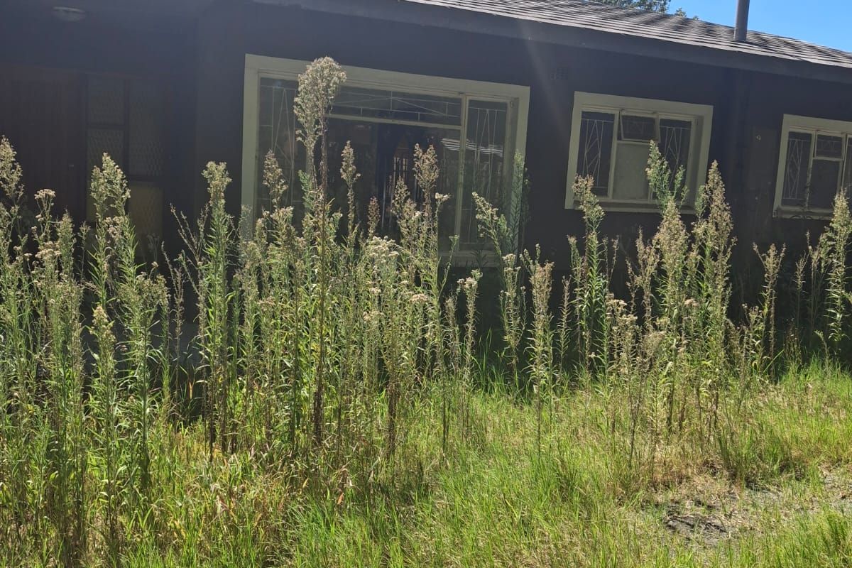 House For Sale in Songloed - Photo 5