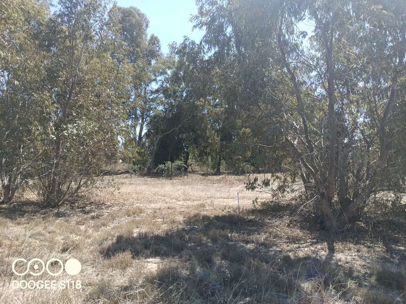 Vacant Land Residential For Sale in Kalbaskraal - Photo 3