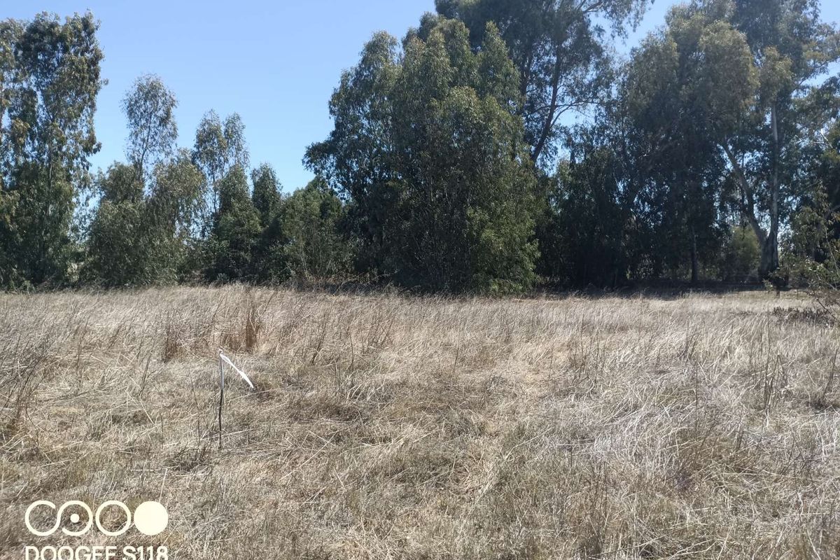 Vacant Land Residential For Sale in Kalbaskraal - Photo 4