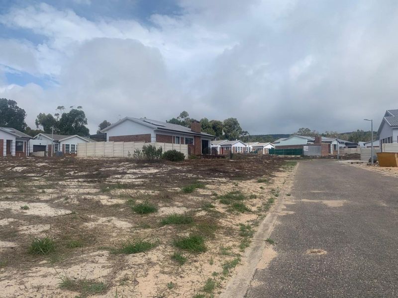 Vacant Land Residential For Sale in Albertinia Central - Photo 3