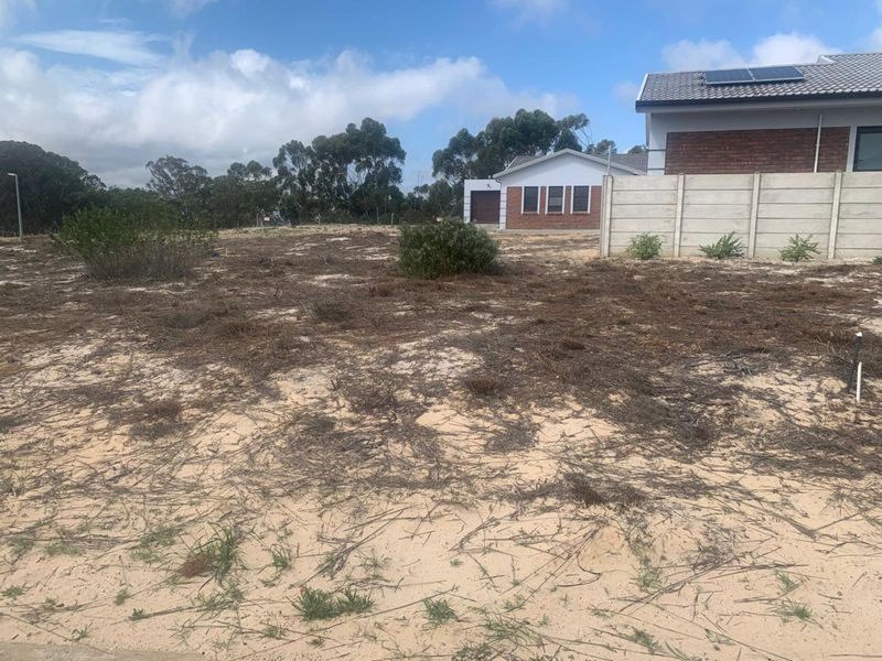 Vacant Land Residential For Sale in Albertinia Central - Photo 6