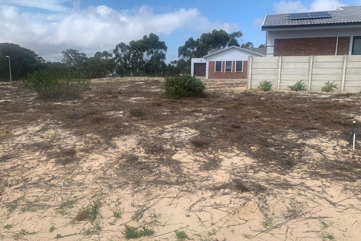 Vacant Land Residential For Sale in Albertinia Central - Photo 5