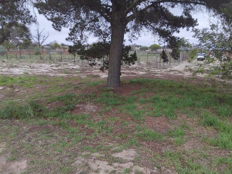 Vacant Land Residential For Sale in Albertinia Central - Photo 2