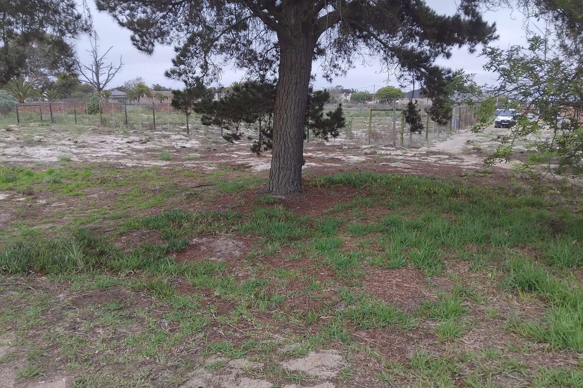 Vacant Land Residential For Sale in Albertinia Central - Photo 2