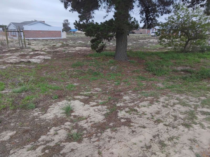 Vacant Land Residential For Sale in Albertinia Central - Photo 3