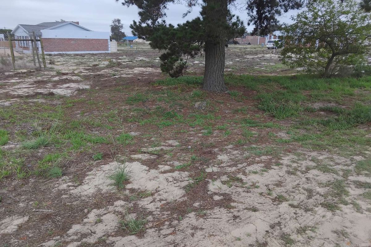 Vacant Land Residential For Sale in Albertinia Central - Photo 3