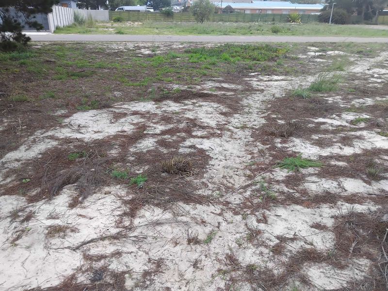 Vacant Land Residential For Sale in Albertinia Central - Photo 4