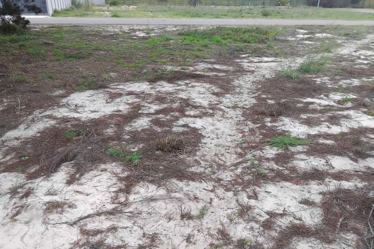 Vacant Land Residential For Sale in Albertinia Central - Photo 4