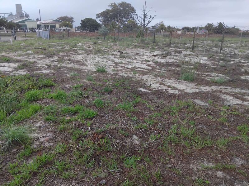 Vacant Land Residential For Sale in Albertinia Central - Photo 2