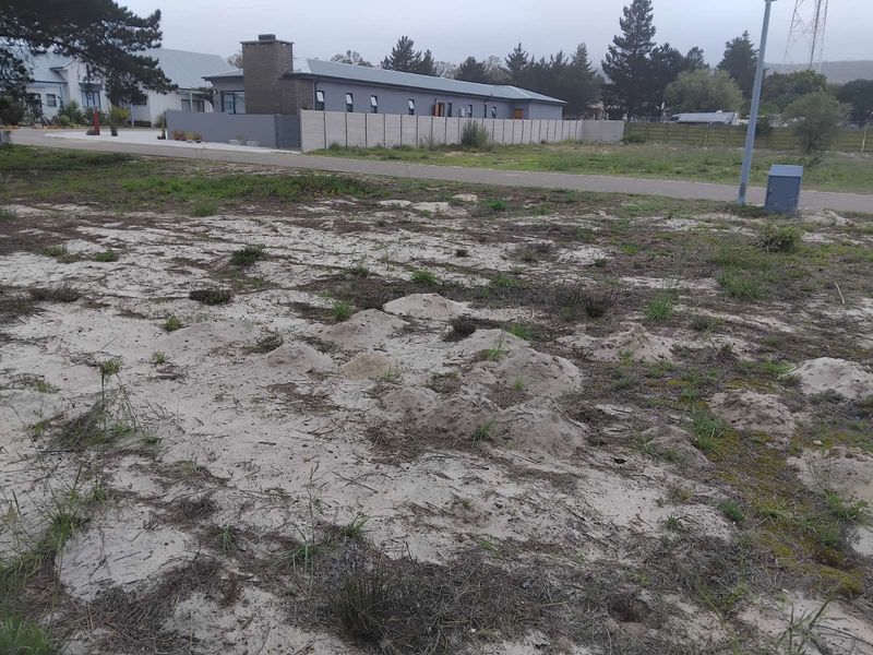 Vacant Land Residential For Sale in Albertinia Central - Photo 4