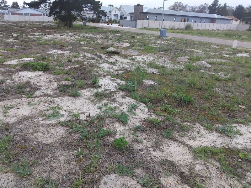 Vacant Land Residential For Sale in Albertinia Central - Photo 4