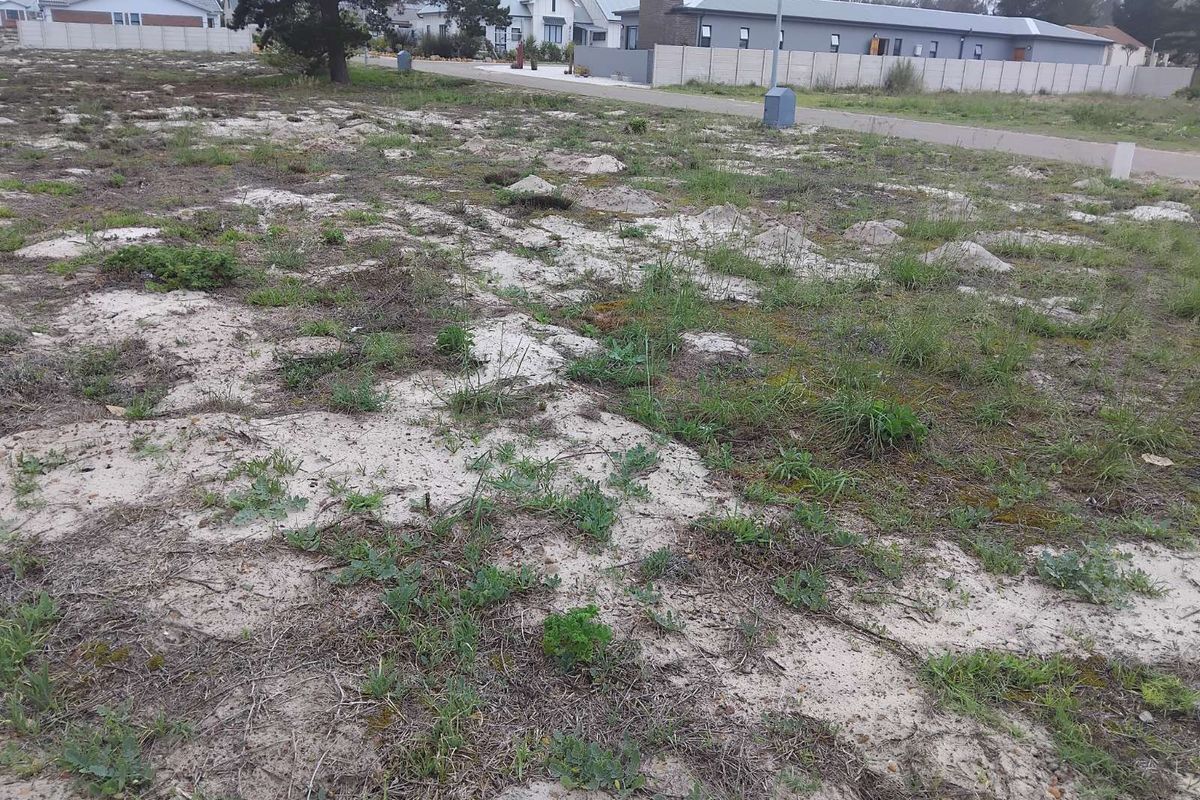 Vacant Land Residential For Sale in Albertinia Central - Photo 4