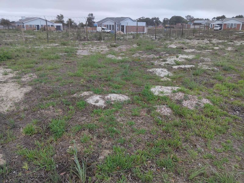 Vacant Land Residential For Sale in Albertinia Central - Photo 3