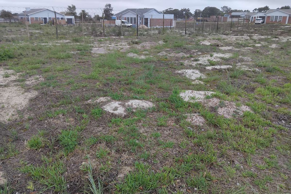 Vacant Land Residential For Sale in Albertinia Central - Photo 3