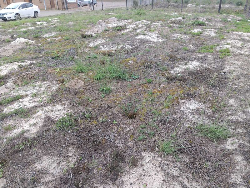 Vacant Land Residential For Sale in Albertinia Central - Photo 2