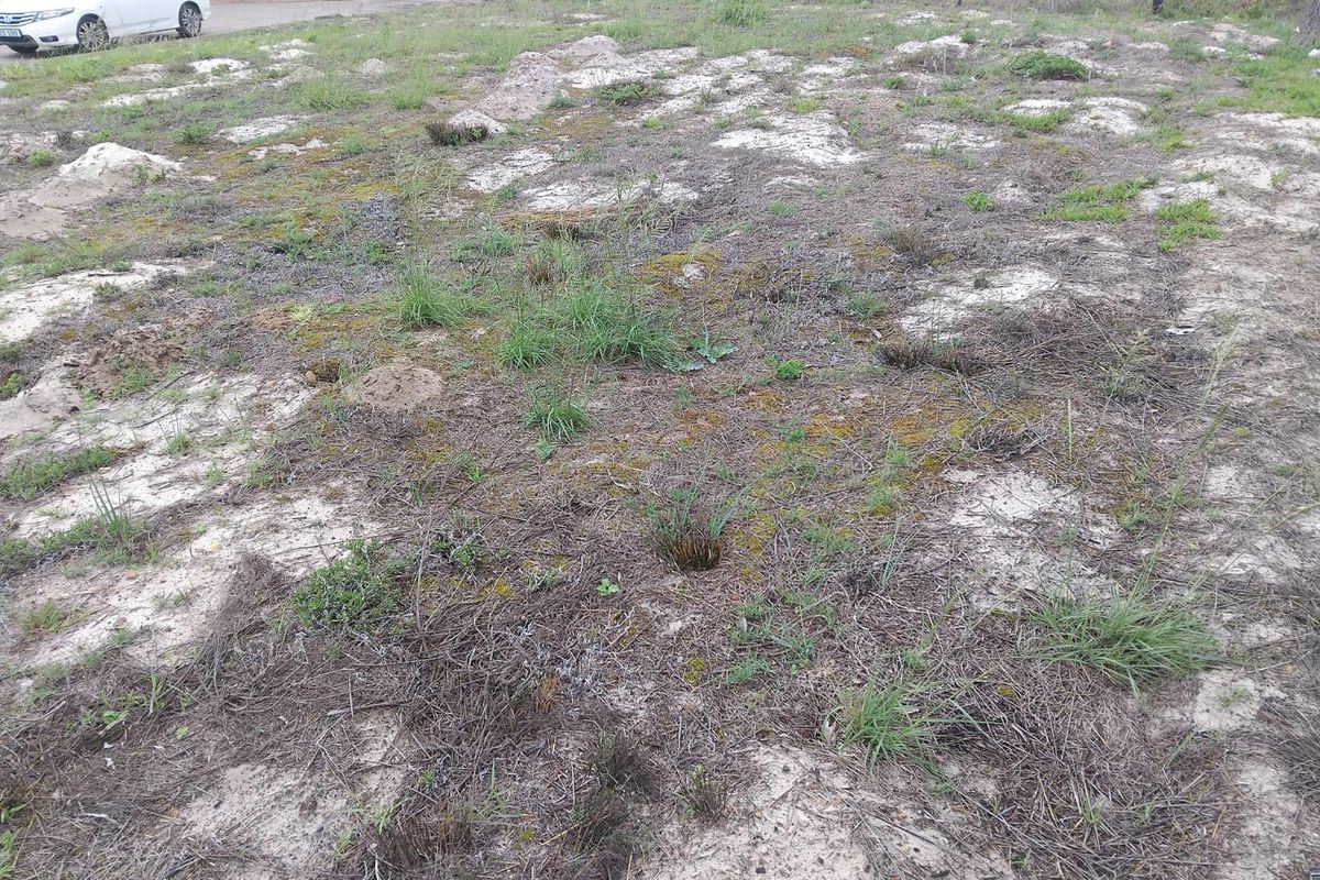 Vacant Land Residential For Sale in Albertinia Central - Photo 2