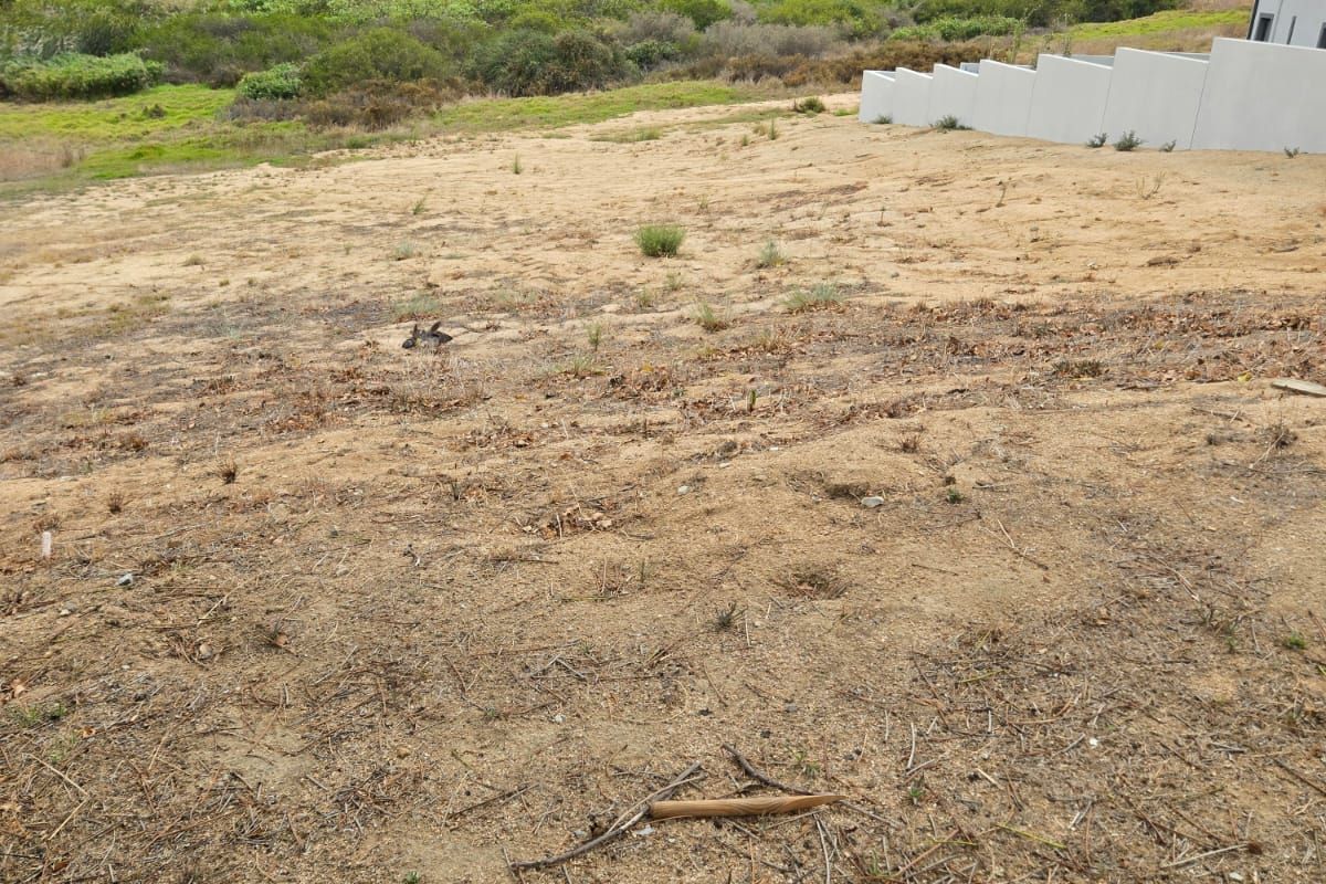 Vacant Land Residential For Sale in Mount Royal Golf Estate - Photo 2