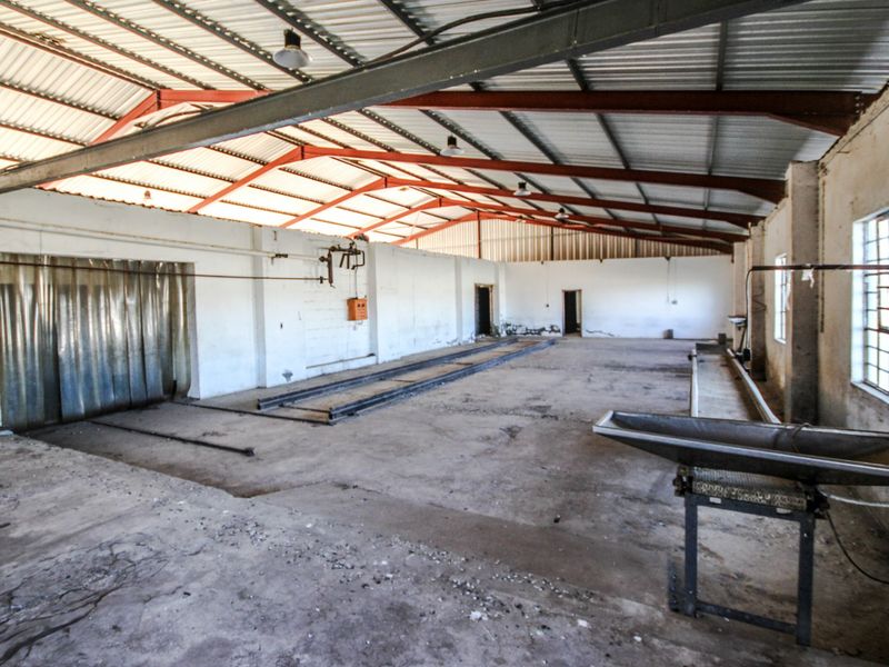 Industrial For Sale in Dysselsdorp - Photo 10