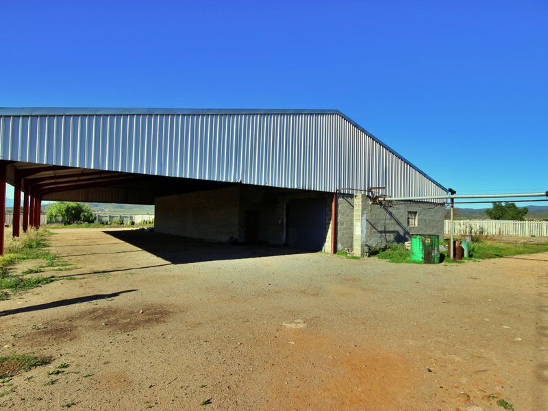 Industrial For Sale in Dysselsdorp - Photo 3