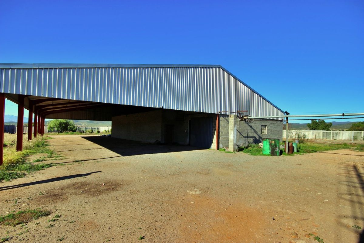 Industrial For Sale in Dysselsdorp - Photo 3