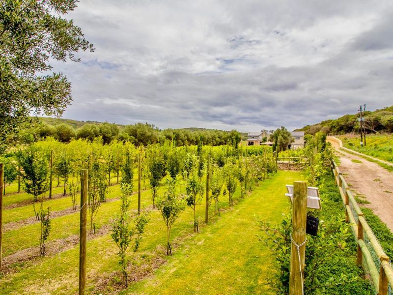 House For Sale in Stilbaai Oos - Photo 9