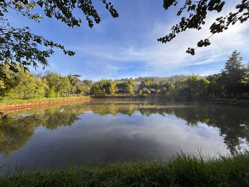 Farm For Sale in Hartzenbergfontein - Photo 3