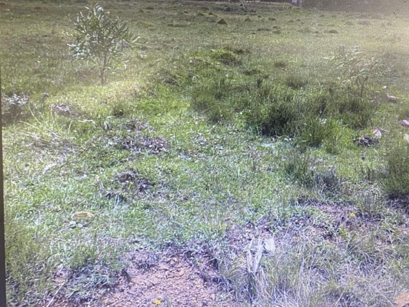 Vacant Land Residential For Sale in Greenbushes AH - Photo 3