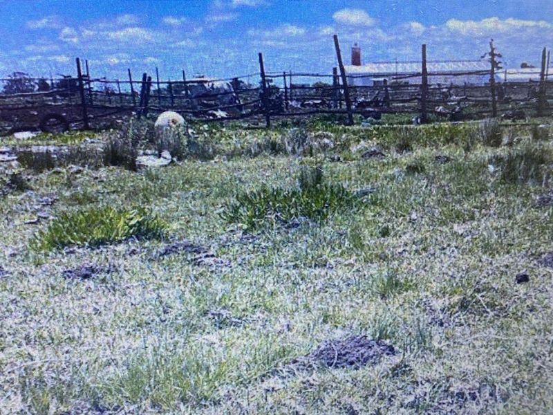 Vacant Land Residential For Sale in Greenbushes AH - Photo 5