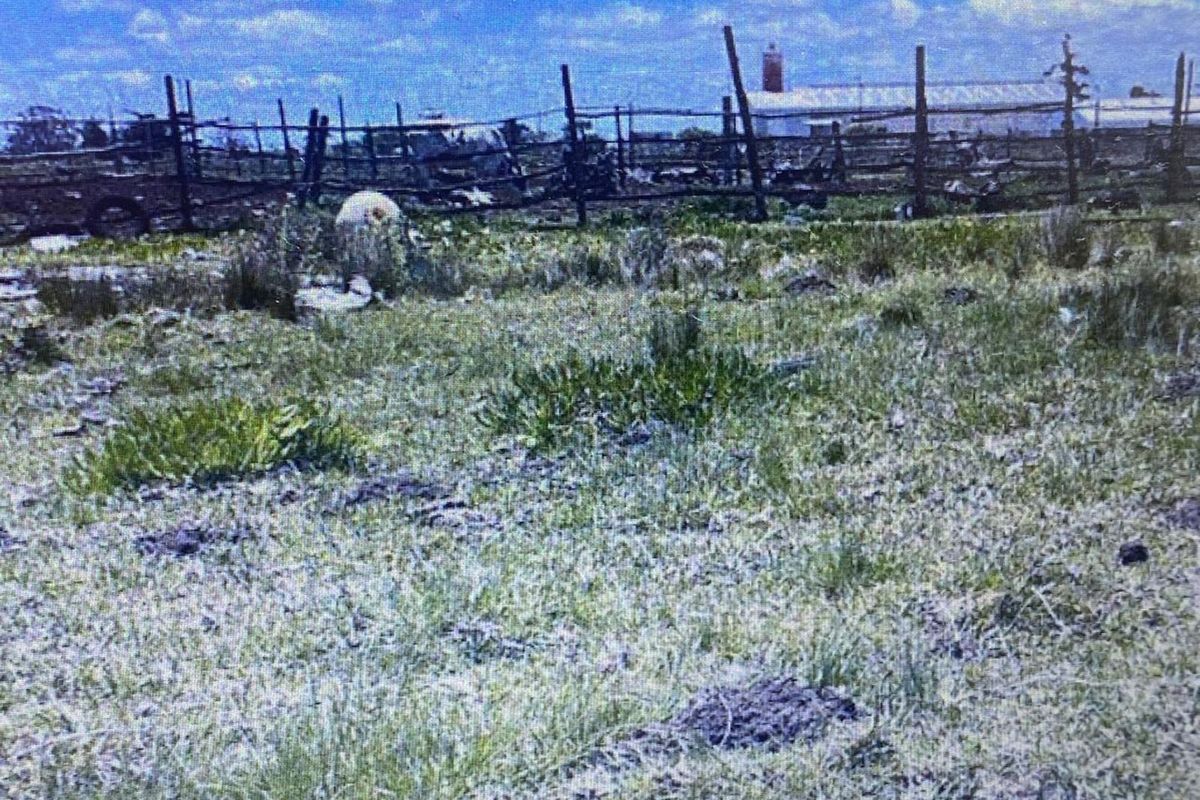 Vacant Land Residential For Sale in Greenbushes AH - Photo 5