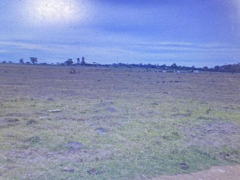 Vacant Land Residential For Sale in Greenbushes AH - Photo 4