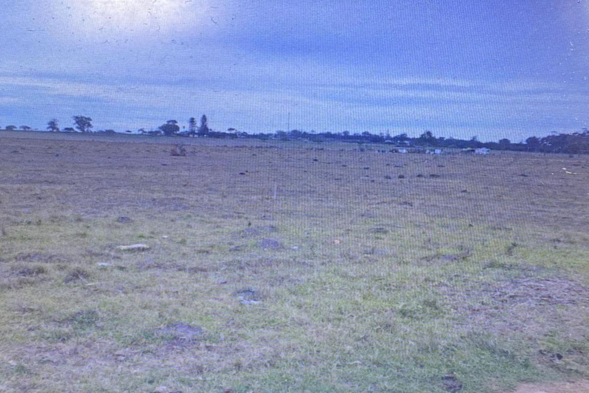 Vacant Land Residential For Sale in Greenbushes AH - Photo 4