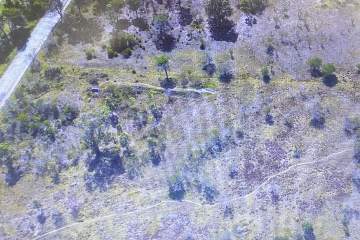 Vacant Land Residential For Sale in Greenbushes AH - Photo 2