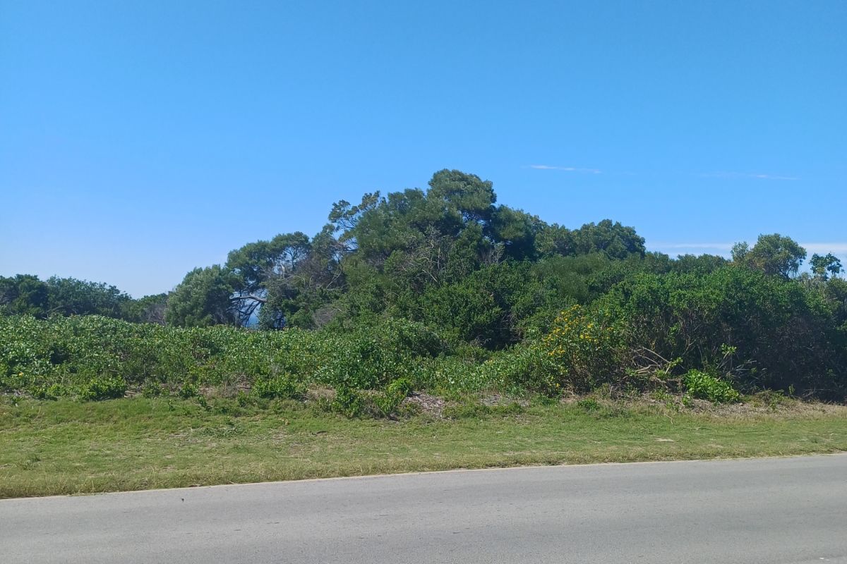 Vacant Land Residential For Sale in St Francis On Sea Phase I - Photo 2