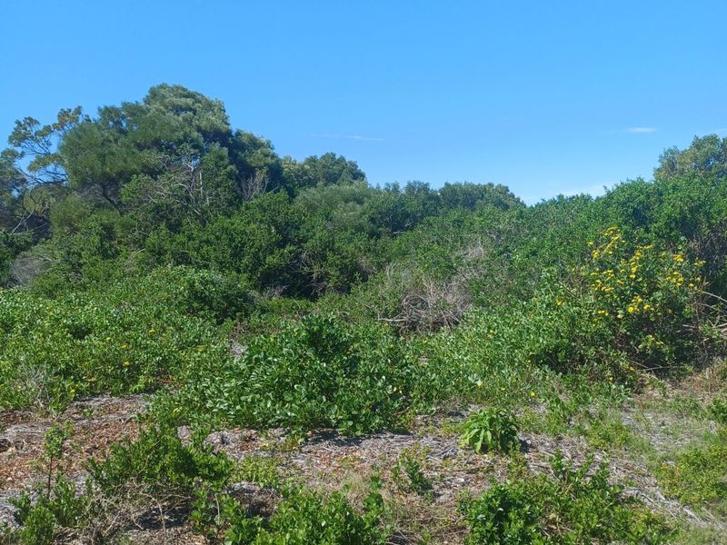 Vacant Land Residential For Sale in St Francis On Sea Phase I - Photo 3